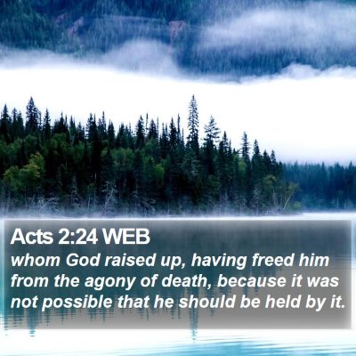 Acts 2:24 WEB Bible Verse Image