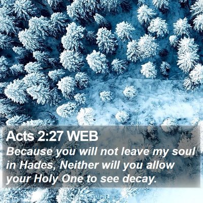 Acts 2:27 WEB Bible Verse Image