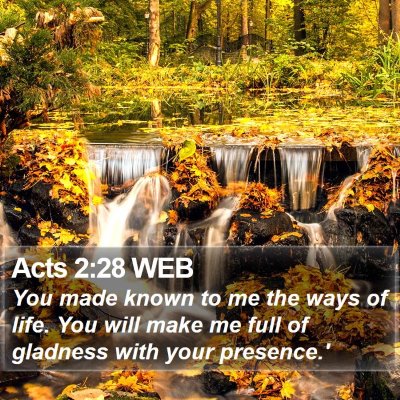 Acts 2:28 WEB Bible Verse Image