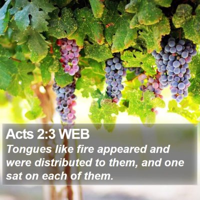 Acts 2:3 WEB Bible Verse Image
