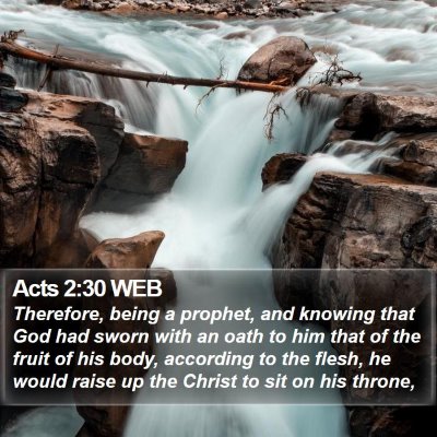 Acts 2:30 WEB Bible Verse Image