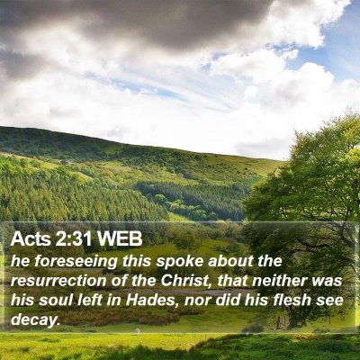 Acts 2:31 WEB Bible Verse Image