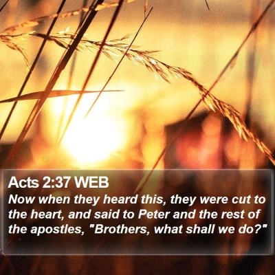 Acts 2:37 WEB Bible Verse Image