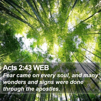 Acts 2:43 WEB Bible Verse Image