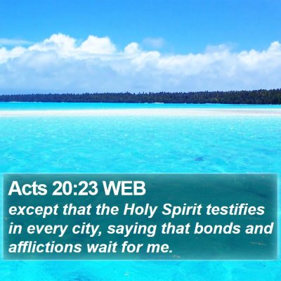 Acts 20:23 WEB Bible Verse Image