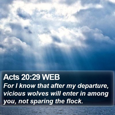 Acts 20:29 WEB Bible Verse Image