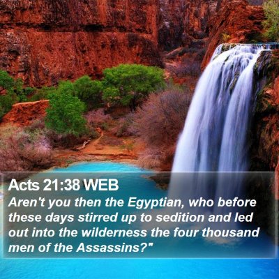 Acts 21:38 WEB Bible Verse Image