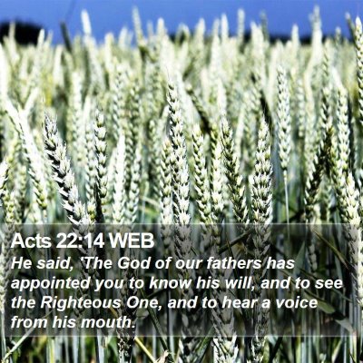 Acts 22:14 WEB Bible Verse Image