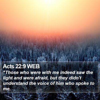 Acts 22:9 WEB Bible Verse Image