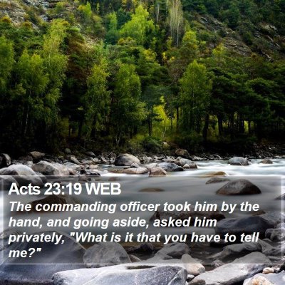Acts 23:19 WEB Bible Verse Image