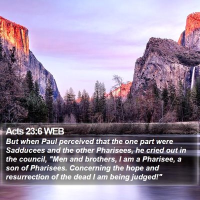Acts 23:6 WEB Bible Verse Image
