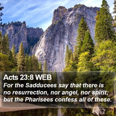 Acts 23:8 WEB Bible Verse Image
