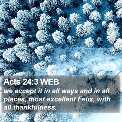 Acts 24:3 WEB Bible Verse Image