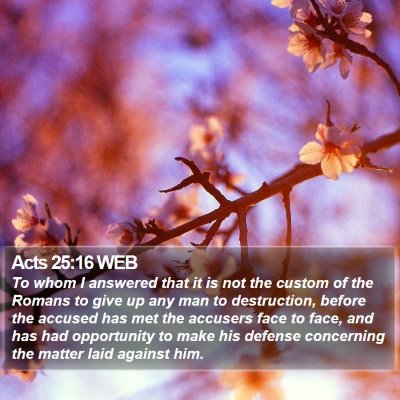 Acts 25:16 WEB Bible Verse Image