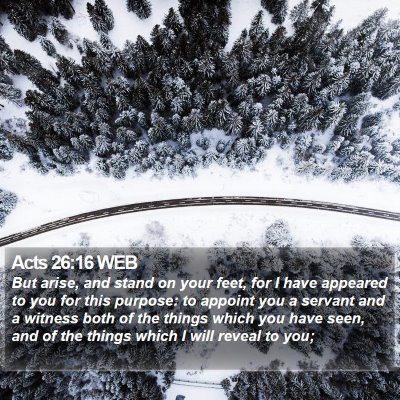 Acts 26:16 WEB Bible Verse Image