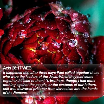 Acts 28:17 WEB Bible Verse Image