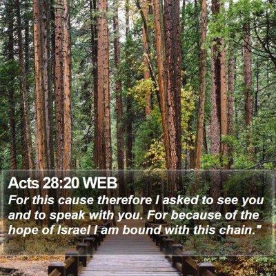 Acts 28:20 WEB Bible Verse Image