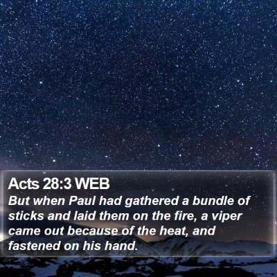 Acts 28:3 WEB Bible Verse Image