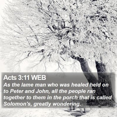 Acts 3:11 WEB Bible Verse Image
