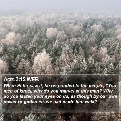 Acts 3:12 WEB Bible Verse Image
