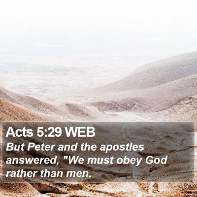 Acts 5:29 WEB Bible Verse Image