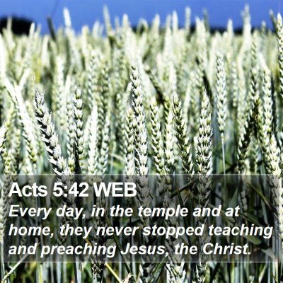 Acts 5:42 WEB Bible Verse Image