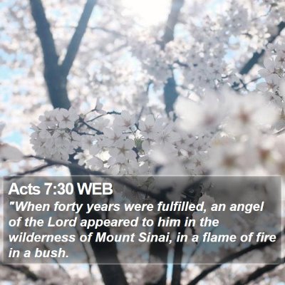 Acts 7:30 WEB Bible Verse Image