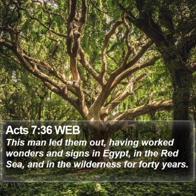 Acts 7:36 WEB Bible Verse Image