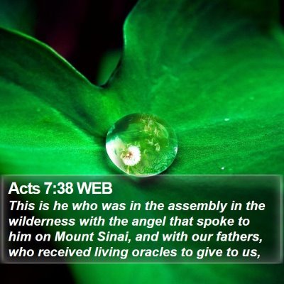 Acts 7:38 WEB Bible Verse Image