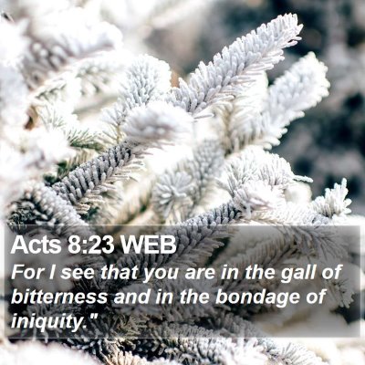 Acts 8:23 WEB Bible Verse Image