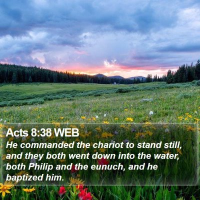 Acts 8:38 WEB Bible Verse Image