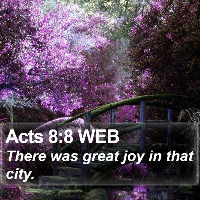 Acts 8:8 WEB Bible Verse Image