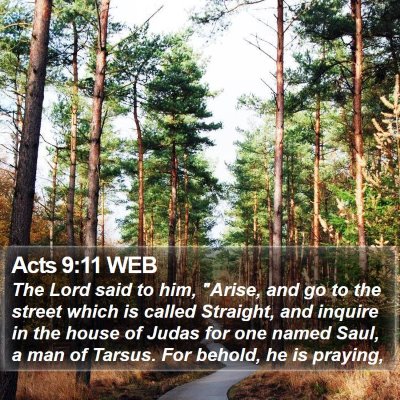 Acts 9:11 WEB Bible Verse Image