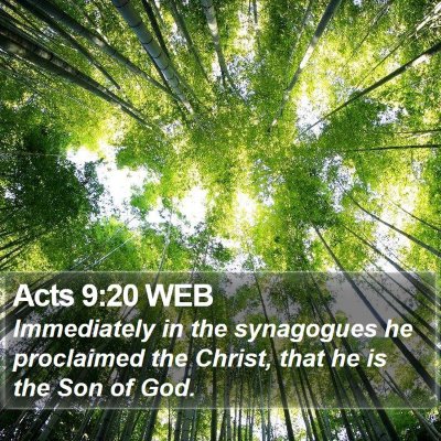 Acts 9:20 WEB Bible Verse Image