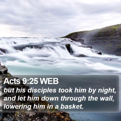 Acts 9:25 WEB Bible Verse Image