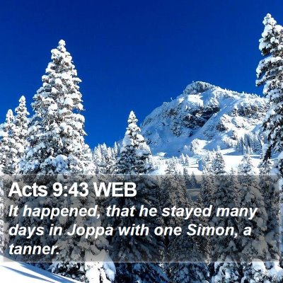 Acts 9:43 WEB Bible Verse Image