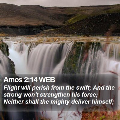 Amos 2:14 WEB Bible Verse Image