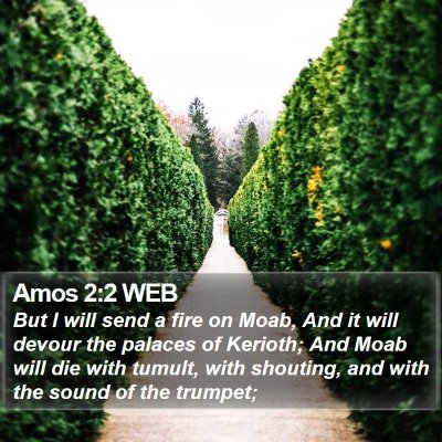 Amos 2:2 WEB Bible Verse Image
