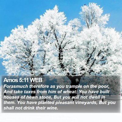 Amos 5:11 WEB Bible Verse Image