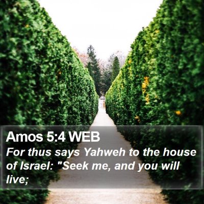 Amos 5:4 WEB Bible Verse Image
