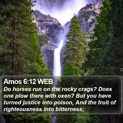Amos 6:12 WEB Bible Verse Image