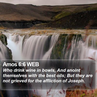Amos 6:6 WEB Bible Verse Image