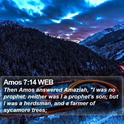 Amos 7:14 WEB Bible Verse Image