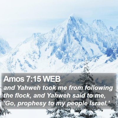 Amos 7:15 WEB Bible Verse Image