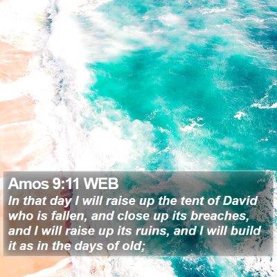 Amos 9:11 WEB Bible Verse Image