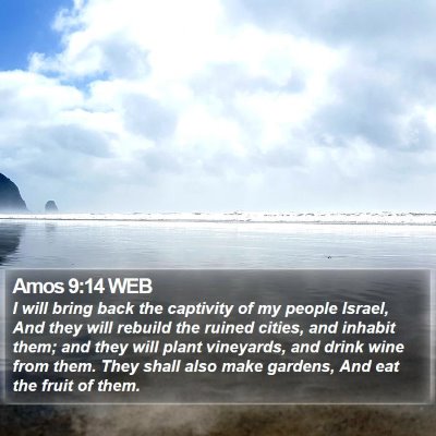 Amos 9:14 WEB Bible Verse Image
