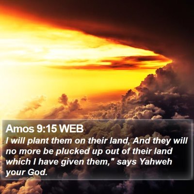Amos 9:15 WEB Bible Verse Image