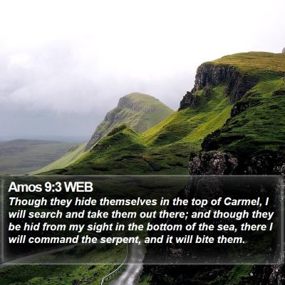 Amos 9:3 WEB Bible Verse Image