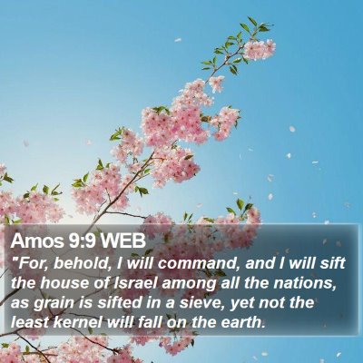 Amos 9:9 WEB Bible Verse Image