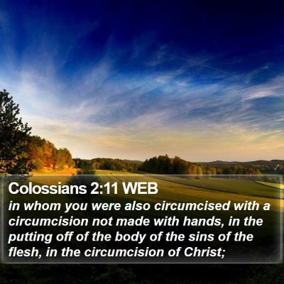 Colossians 2:11 WEB Bible Verse Image